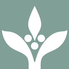 Hanns R. Neumann Stiftung (HRNS) logo