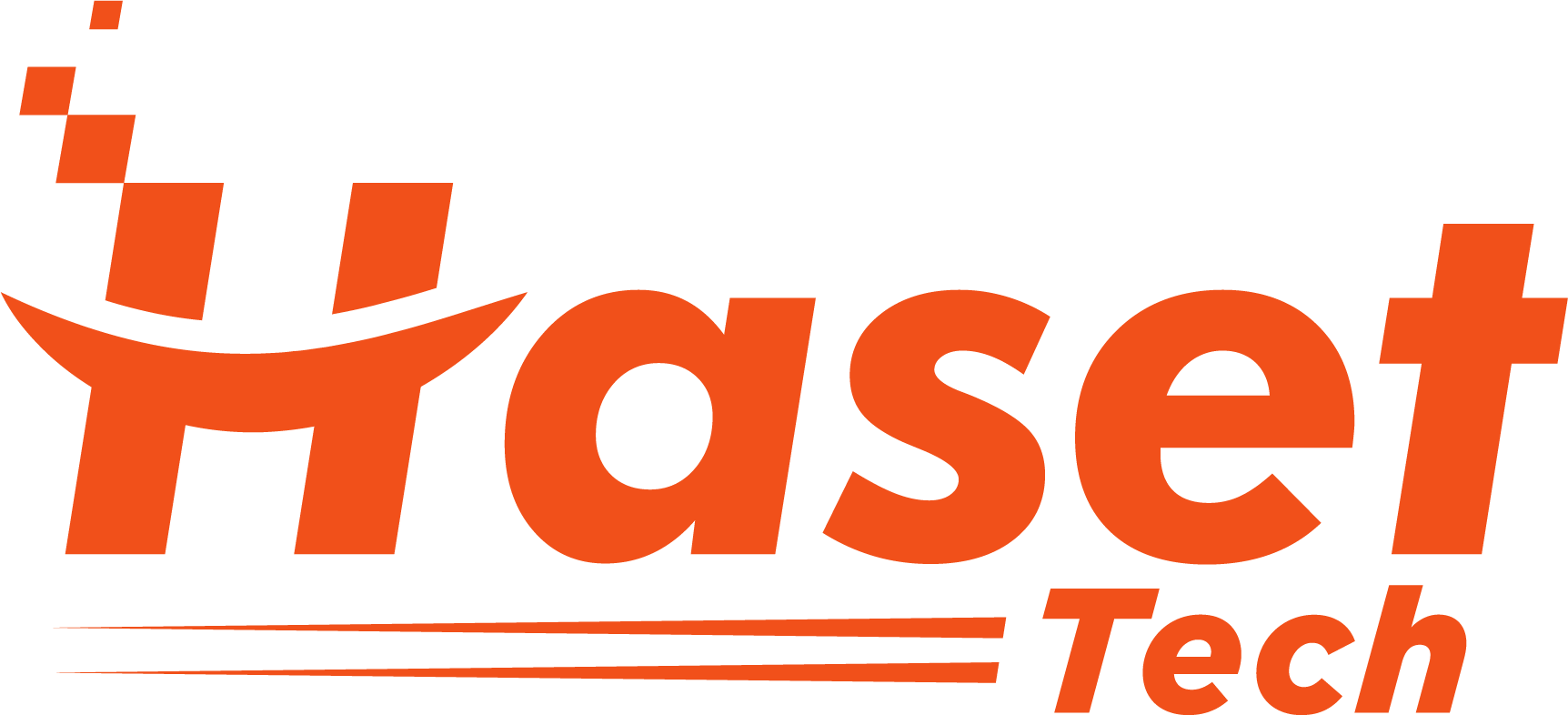 Haset Information Technology PLC