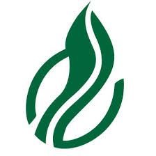 Daye Bensa Business Plc logo