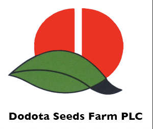 Diversified Ethiopian business group logo