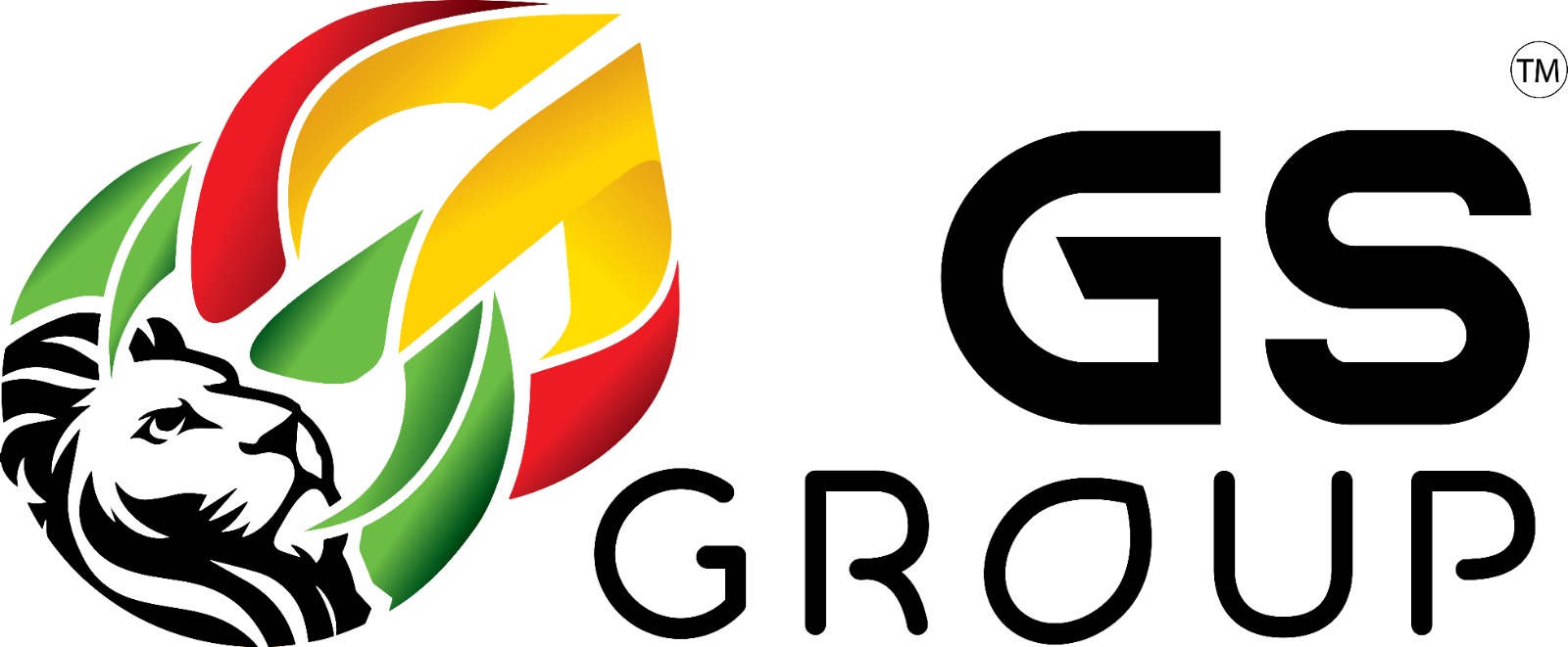 GS Group logo