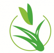 Tinaw Business Share Company S.C. (Tinaw Roses)