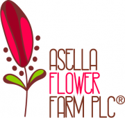Asella Flower Farm PLC logo