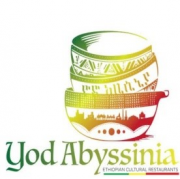 Yod Abyssinia General Trading plc